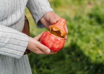 photo of a ceramic art piece